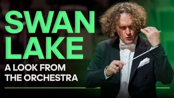 SWAN LAKE - A LOOK FROM THE ORCHESTRA