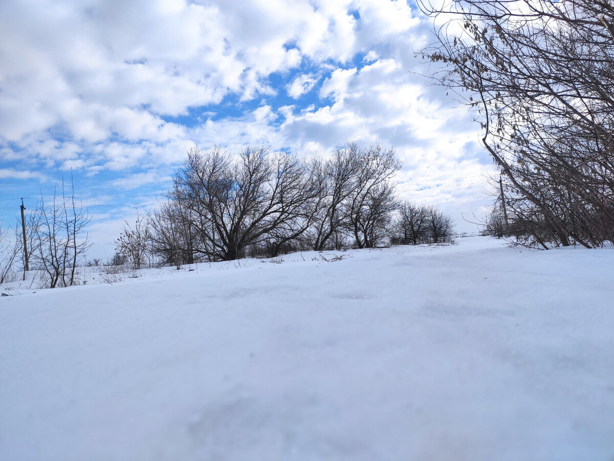 Последние белоснежные дни, скоро будет кругом чернозём!