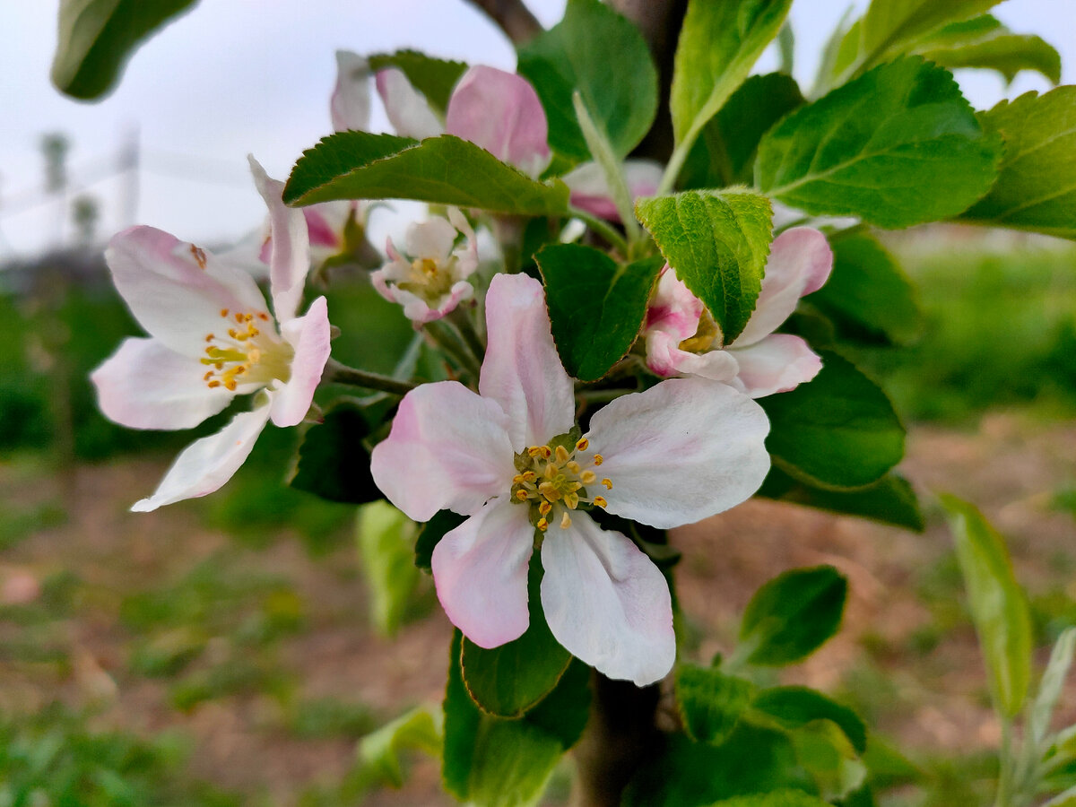 Фотография сделана автором канала