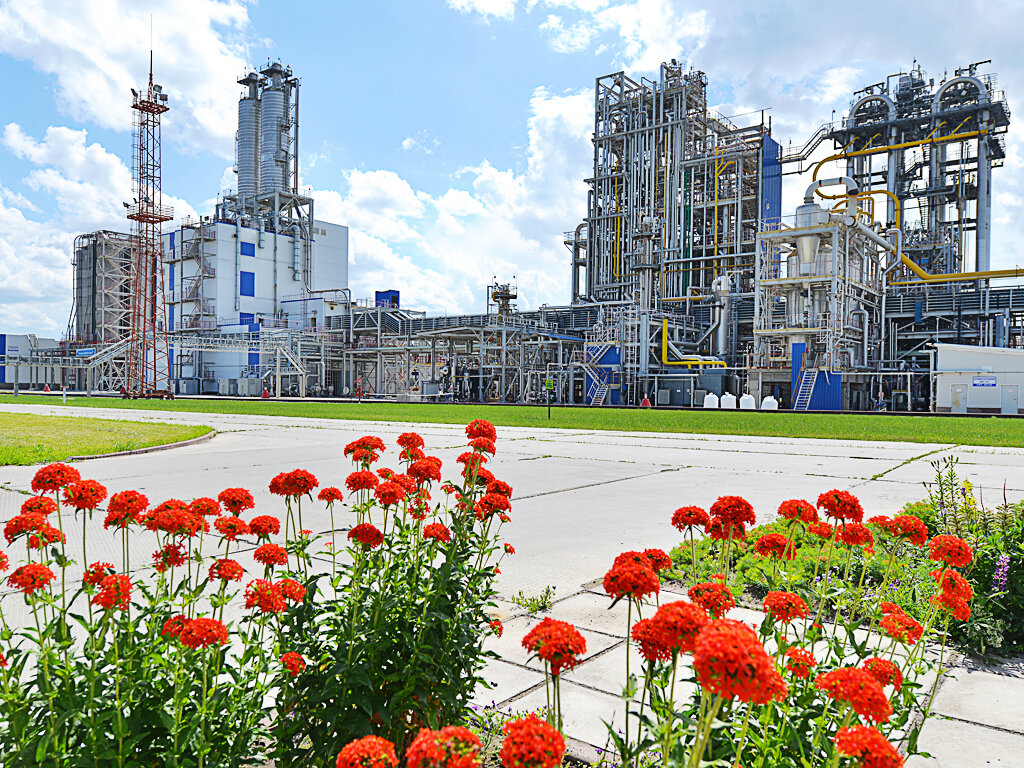 фото с просторов интернета