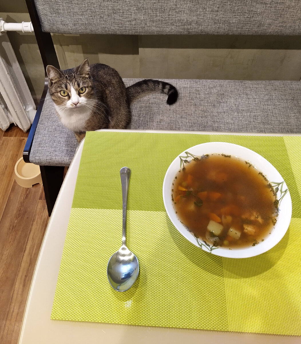 Все фото в статье мои.