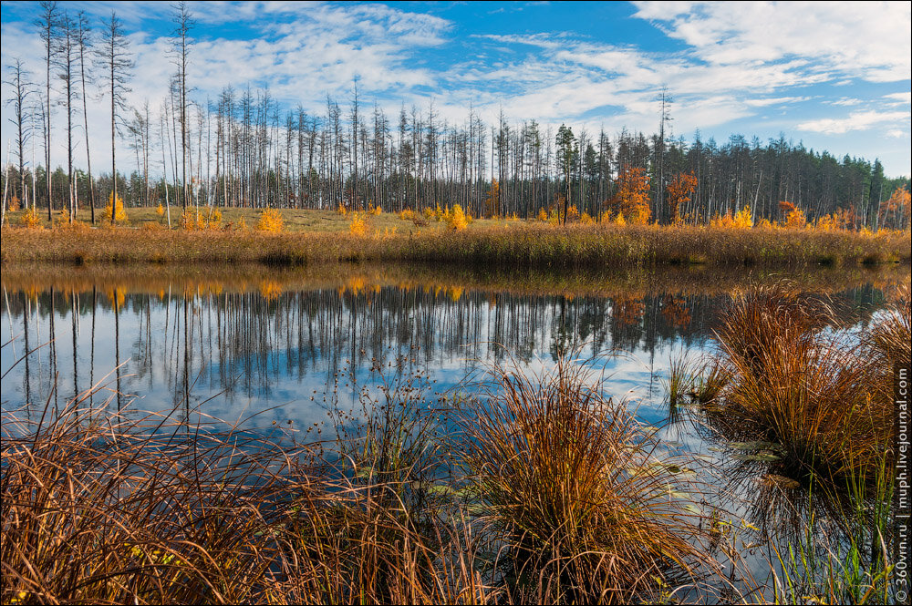 Здесь и далее фото автора