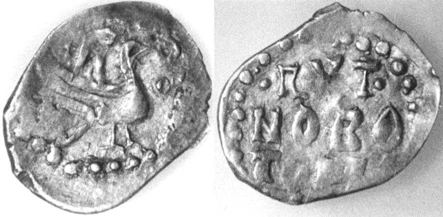 "Новоторка"