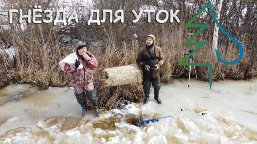 Индоутки мой опыт содержания. Никогда не делайте таких ошибок! Мифы и реальность.