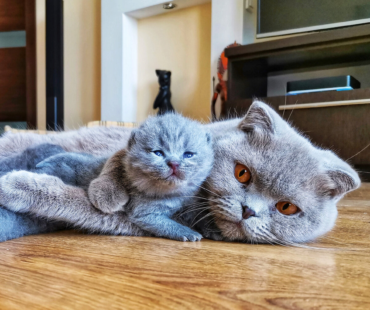 Ириска с дочкой два года назад 