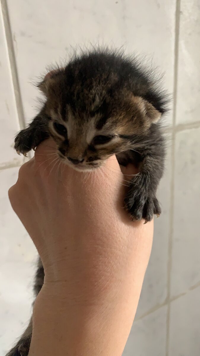 Яшеньке 5 дней