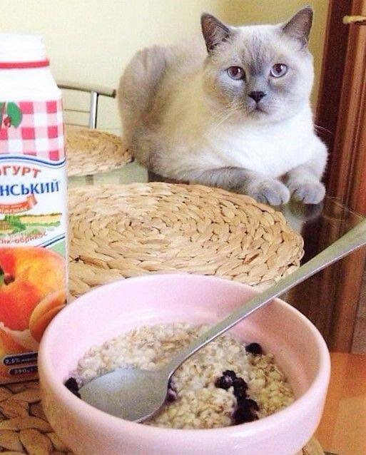 А мне? 