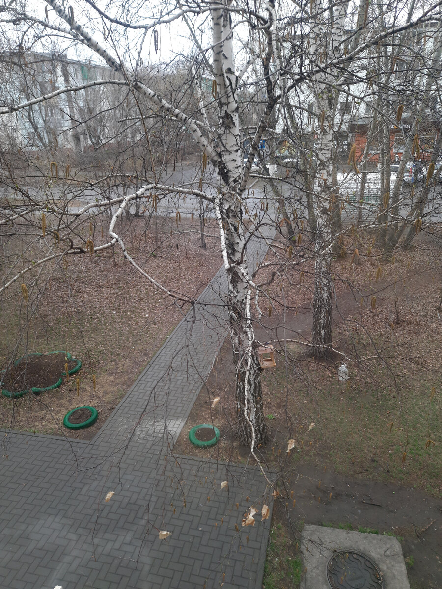 дождик тихий