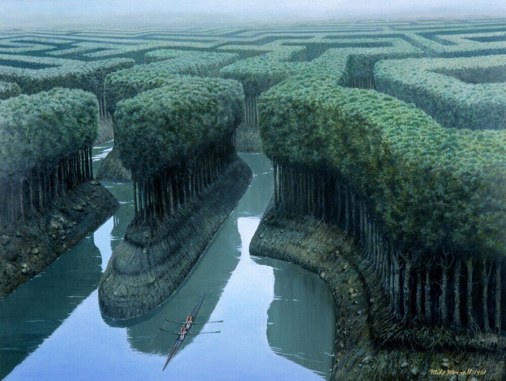 Mike Worrall. Гребля парными веслами в лесном лабиринте