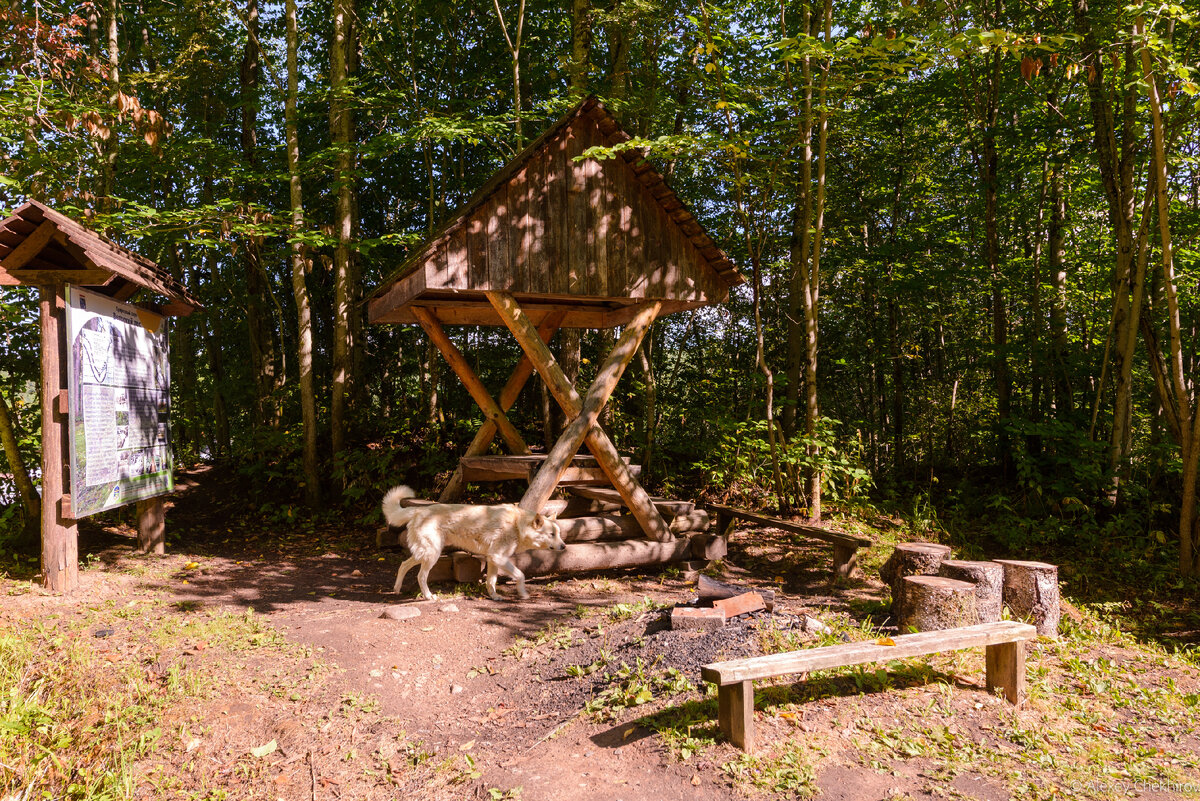 Пока что это редкие, эпизодические случаи, когда у посетителей природного парка есть возможность присесть отдохнуть, перекусить в беседке, сходить в туалет. Туристический потенциал у этого региона огромный.