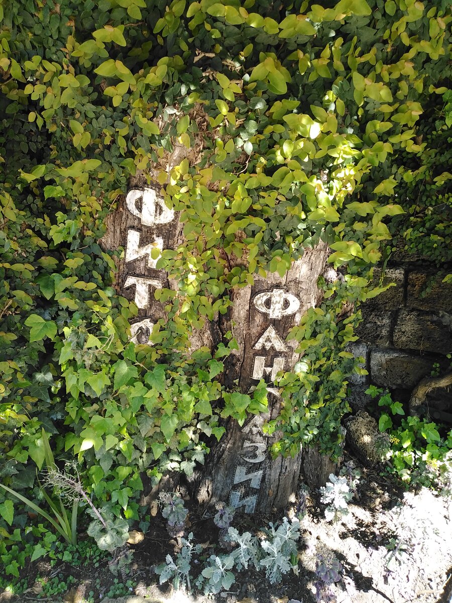 "Фитофантазия" - листайте галерею