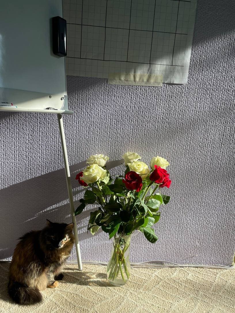 Таблицы, рисунки, графики помогают сформировать цель и систематизировать работу.