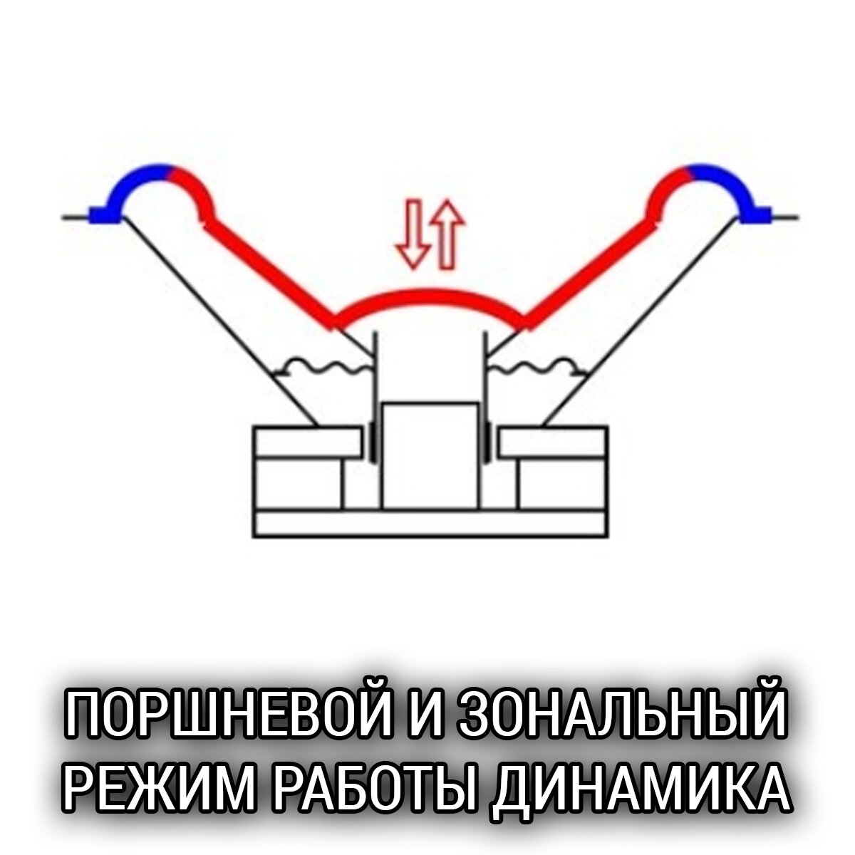 Поршневой и зональный режим работы динамика | Школа Автозвука Сергея  Туманова | Дзен