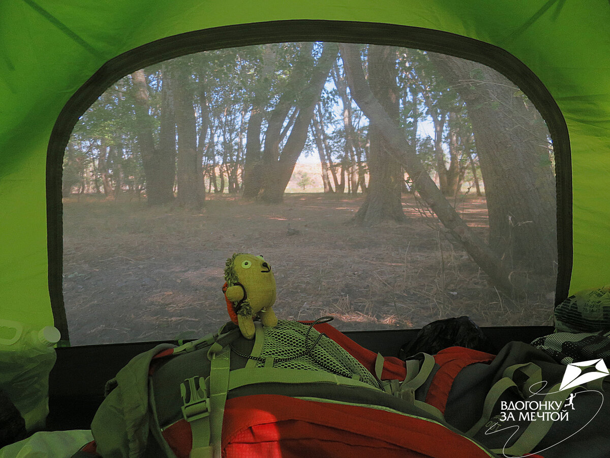 И мой тряпичный Ёжа)