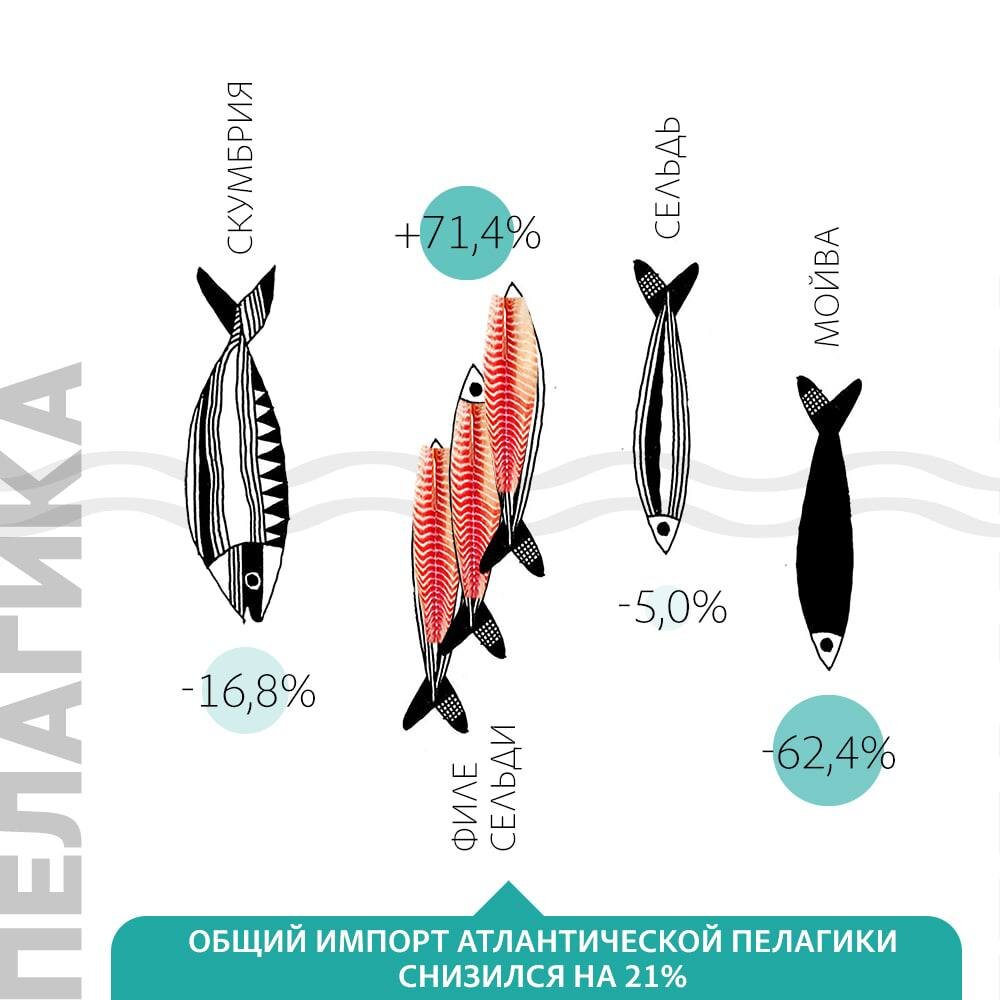 Импорт пелагики