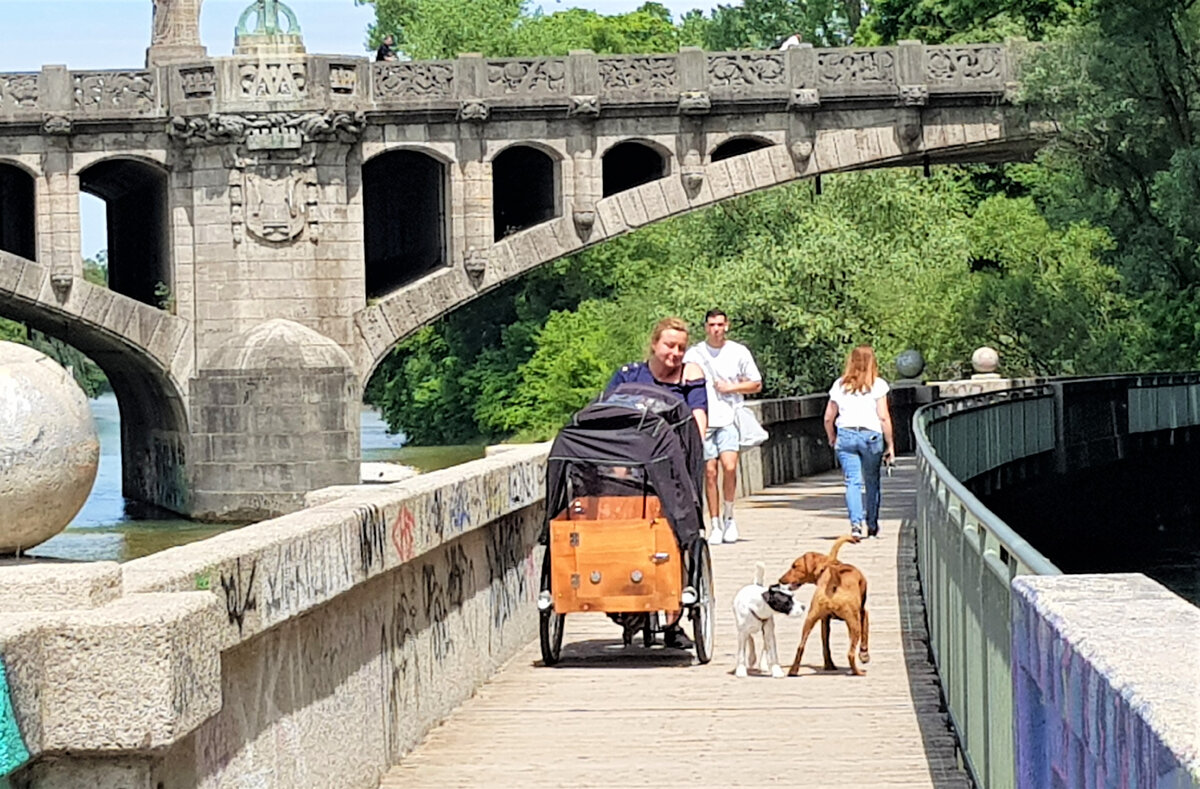 Собаки в колясках, которые крепятся к велосипеду. Мюнхен, Английский сад, 3.06.2022
