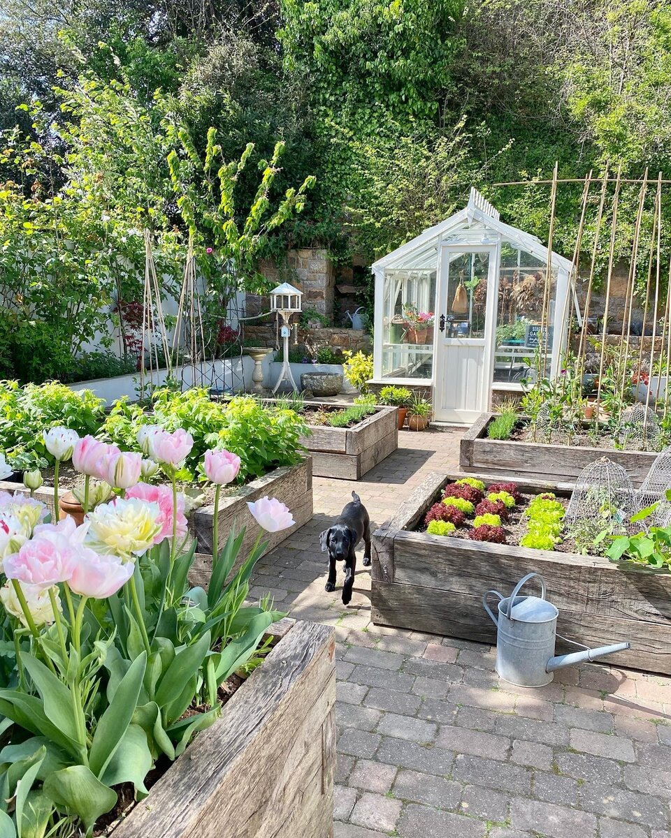 Вдохновляемся 5 красивых садиков с теплицами ИДЕИ ВАШЕГО ДОМА Дзен