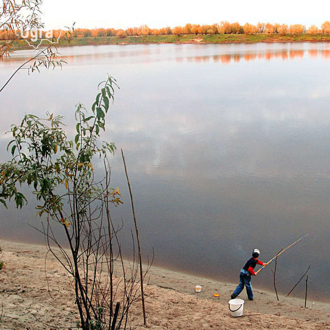 Рыбалка на базе «Остяцкая курья»