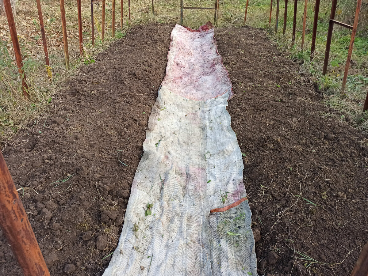 Фото автора. Теплица, точнее каркас в апреле