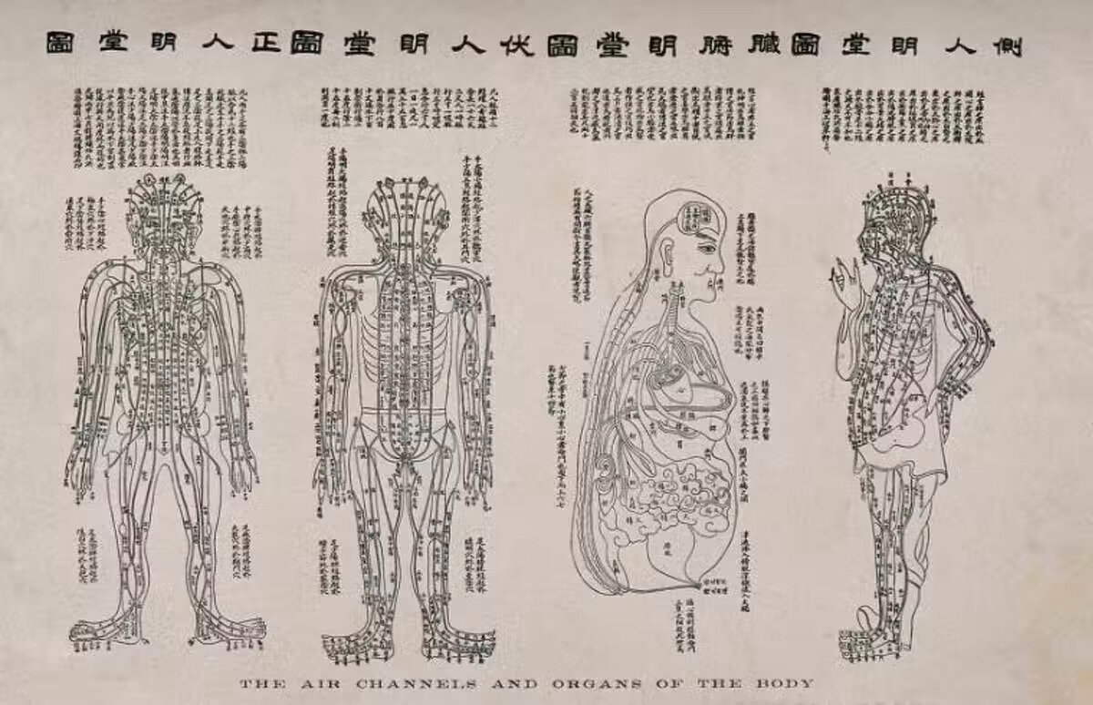    Таблица иглоукалывания традиционной китайской медицины 1800-х годовWellcome Collection, CC BY