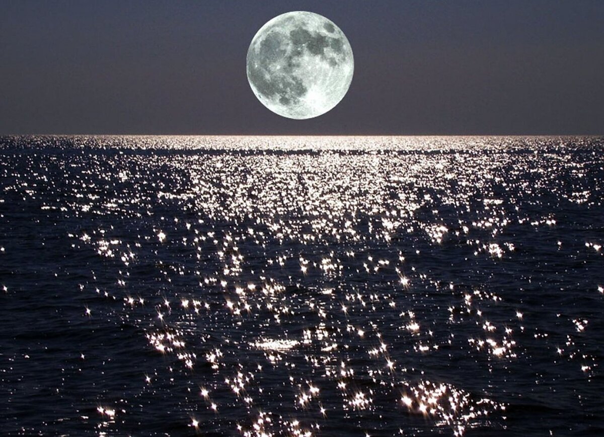 Фото из открытых ресурсов интернета