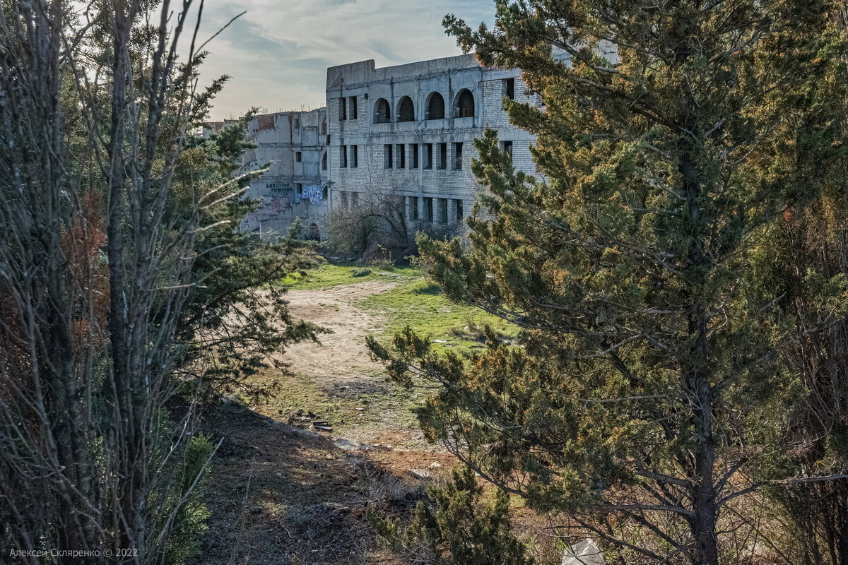 Севастополь. Что будет на месте самого большого недостроя Северной стороны?  Как это выглядит после 30 лет забвения? | НЕ ФОТОГРАФ | Дзен