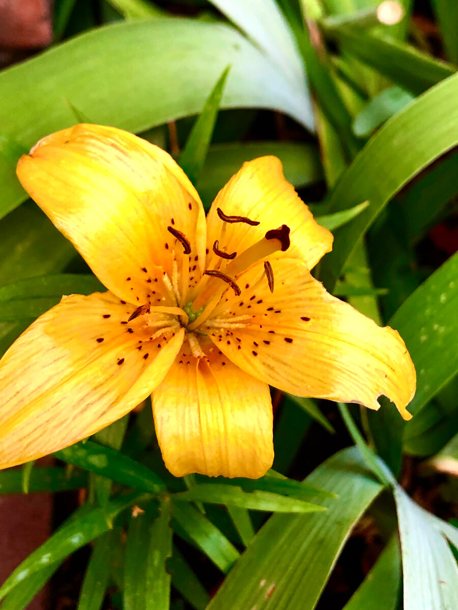 Личное фото 