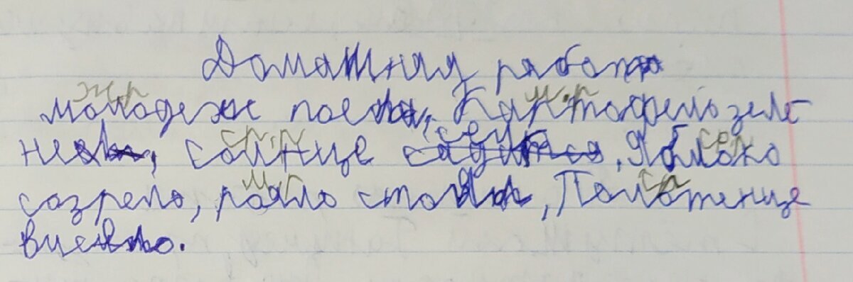 Комментарий с нашего канала на Яндекс.Дзен.