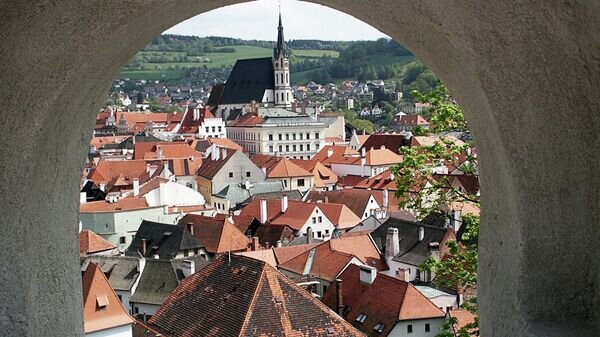   © РИА Новости . Дмитрий Коробейников