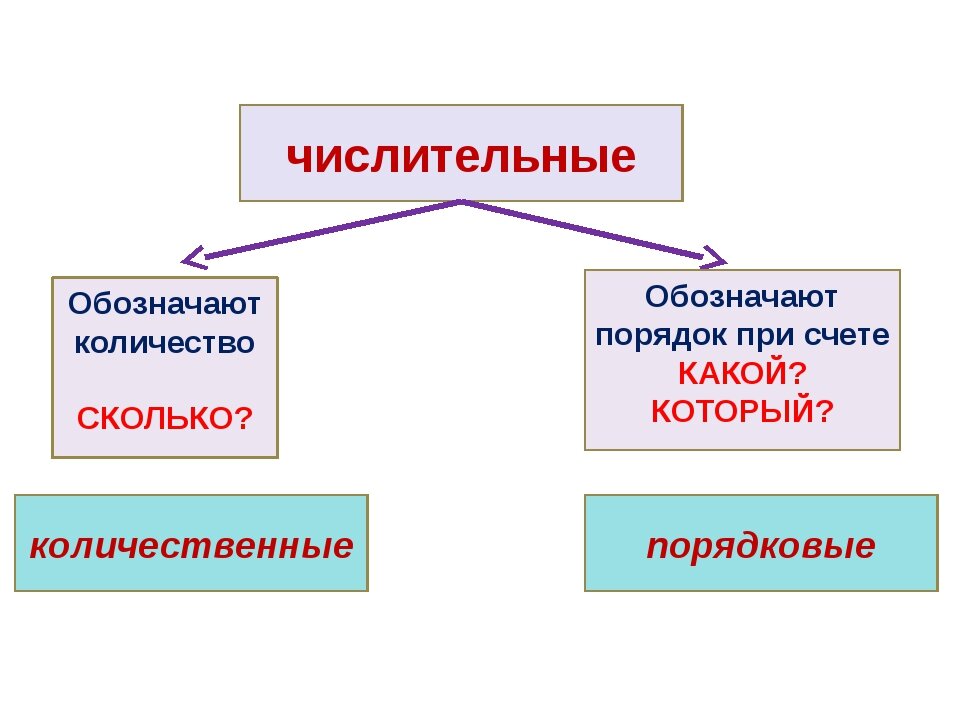 Основные числительные. Количественные и порядковые числительные. Имя числительное количественные и порядковые числительные. Порядковые числительные и количественные числительные в русском. Количесвитльные и порядковые числительные.