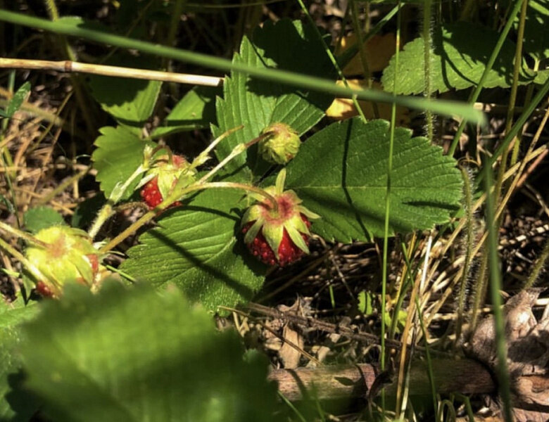    Фото: pravitelstvorb.ru