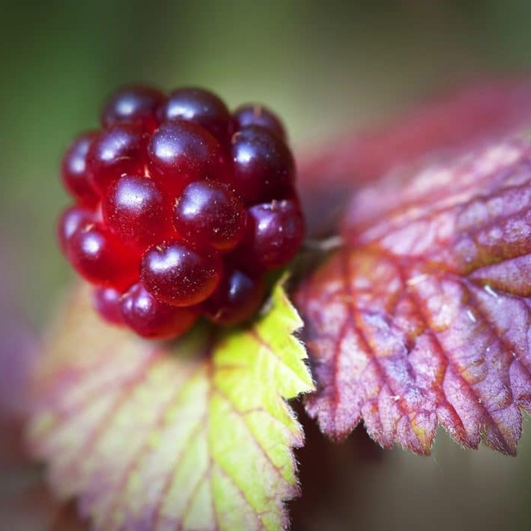 Портрет нашей героини 