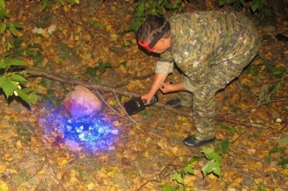    СКР опубликовал фото с места убийства 23-летней медсестры в Чусовом