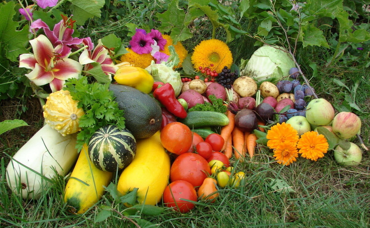 Майл. Картинки