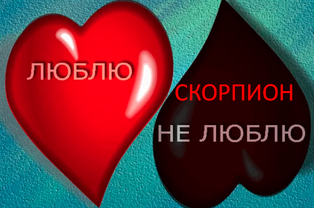 Фото из открытого источника Яндекс