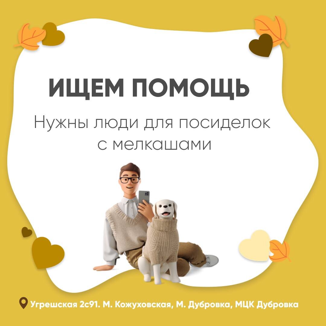 Ищем волонтеров