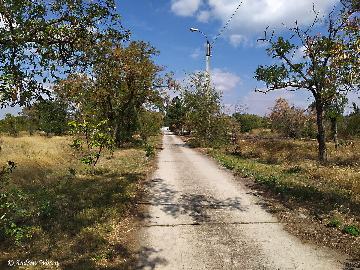 Аллея от въезда в город со стороны ул. Крупской