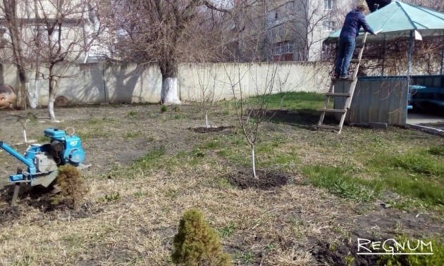    Весенний субботник © ИА REGNUM