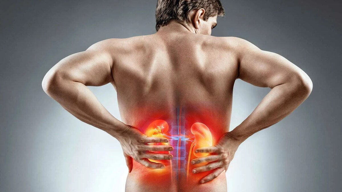 Березовый сок чрезвычайно полезен при болезнях почек, в частности при лечении воспаления.Источник фото сайт https://clck.ru/32Caig

