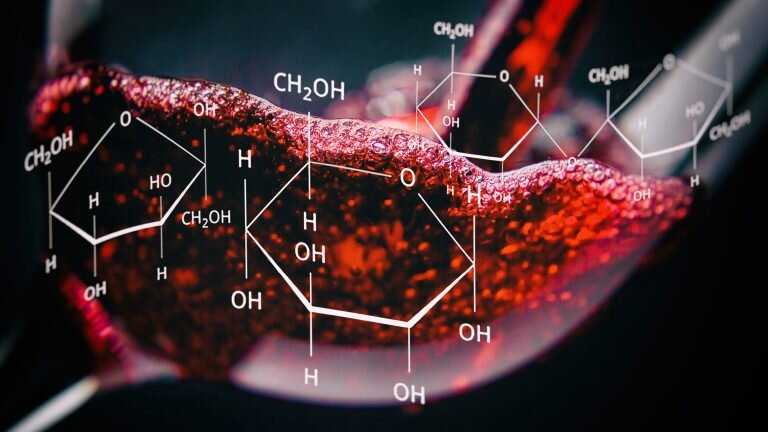 Автор иллюстрации Jeff Quinn, сайт daily.sevenfifty.com