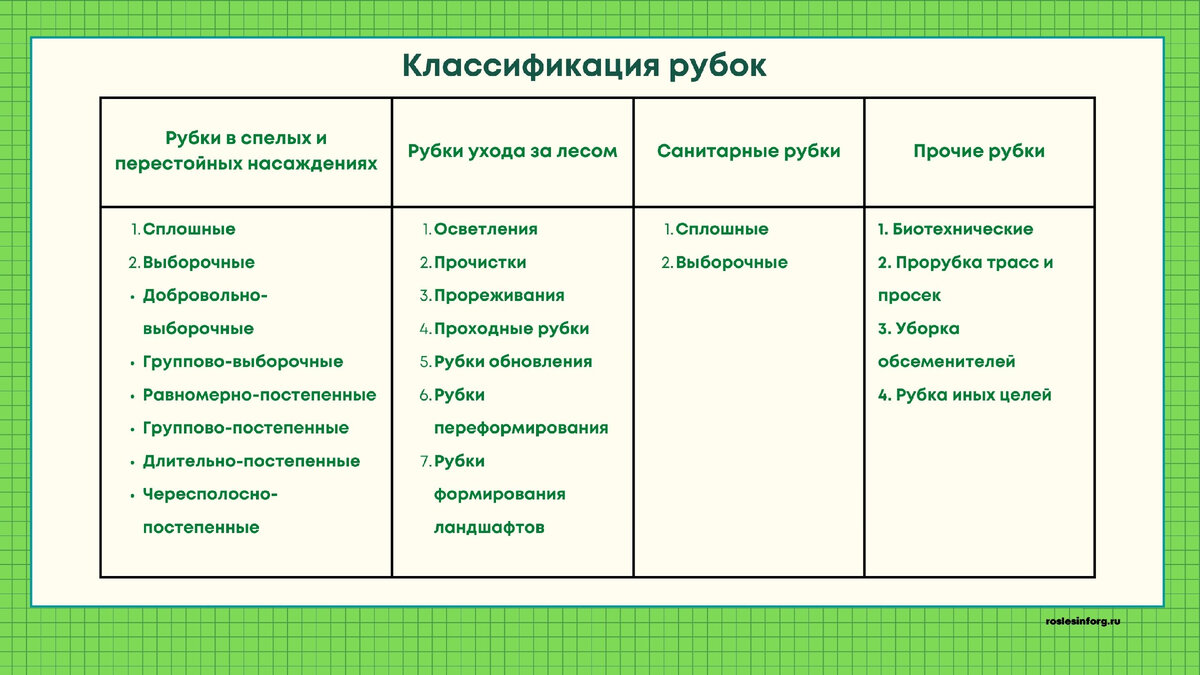 Отвод и таксация лесосек перед вырубкой деревьев в лесу | Рослесинфорг |  Дзен