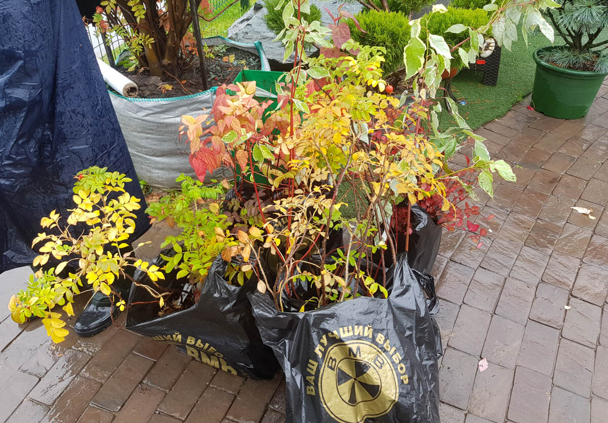 Без покупок не ушли