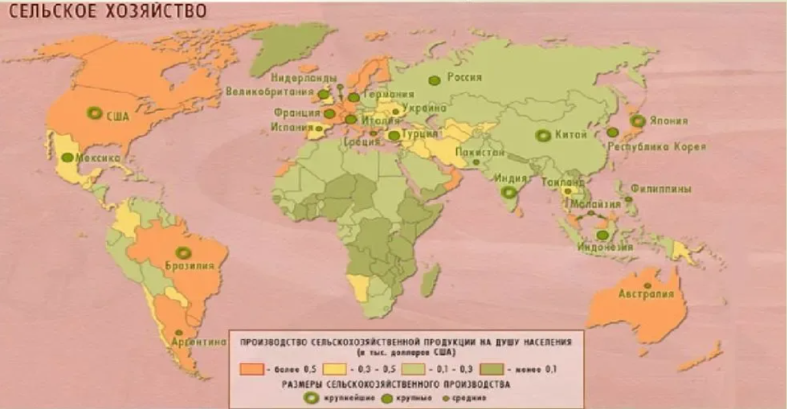     Что такое сельское хозяйство?   Сельское хозяйство — это важнейшая отрасль мирового хозяйства.-2