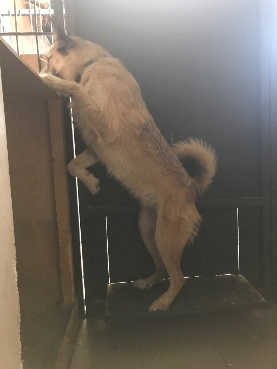 Муха только вернулась с прогулки 