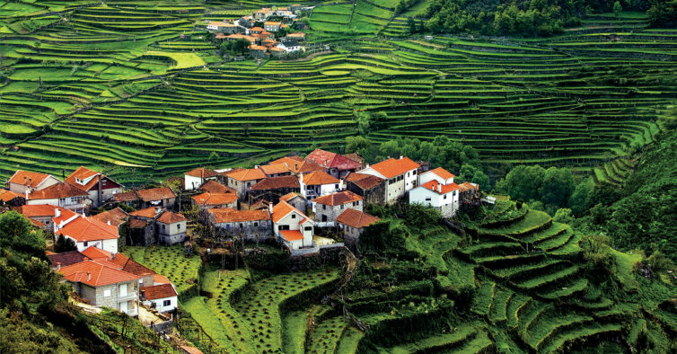 Алдейя-ду-Сиштелу (Aldeia do Sistelo)