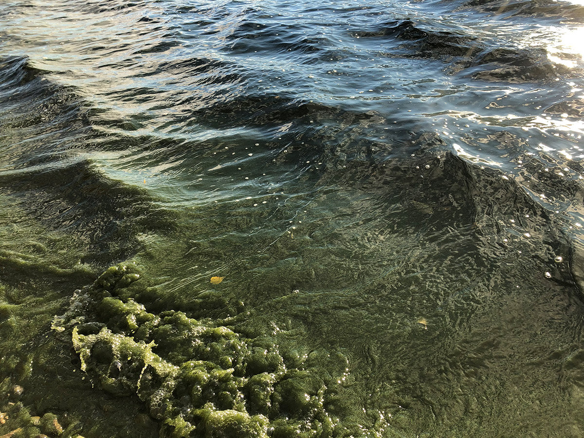 Донные отложения. Чистка Черноисточинского пруда. Вода течет.