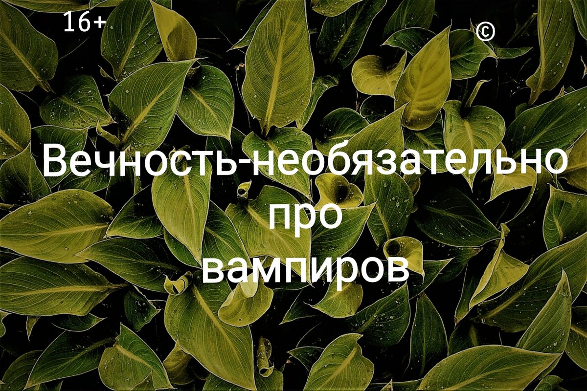 Первый том «Вечность-необязательно про вампиров» автор Атланта Громова