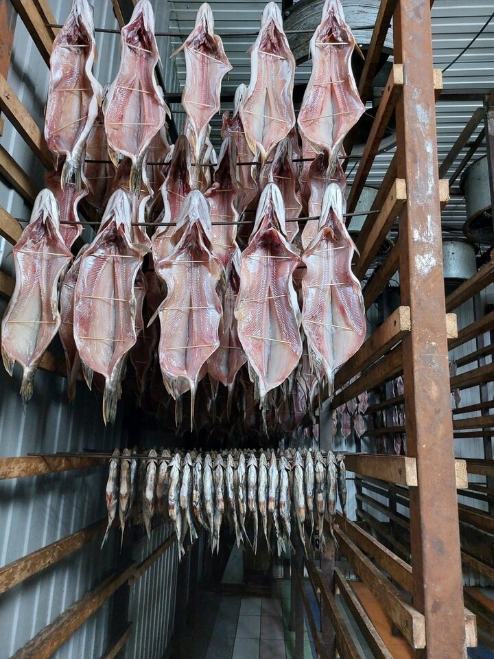     Фото предоставлено Народным фронтом