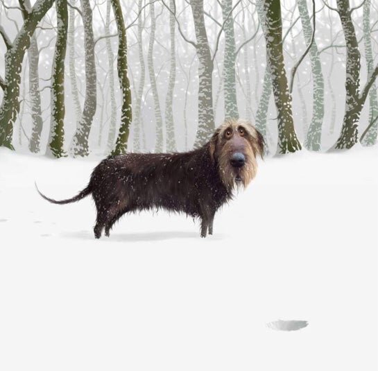 Потерянный мячик