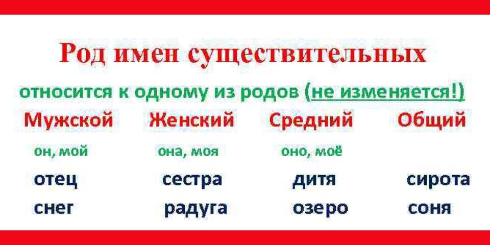 Сможете определить род слова "тюль"? А "брокколи"? Тест для грамотеев: 18  не самых простых слов | Заметки мамы-училки | Дзен